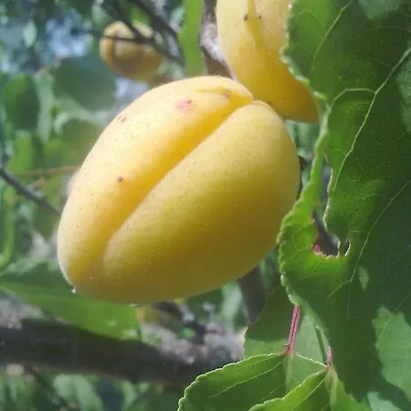 14 Posti Con Cucina E Parcheggio Privato Gratuito