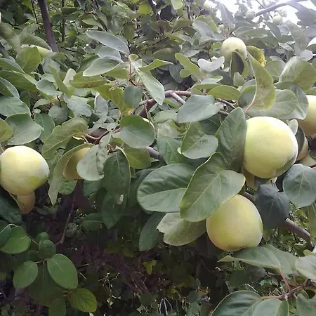 14 Posti Con Cucina E Parcheggio Privato Gratuito Апартаменты