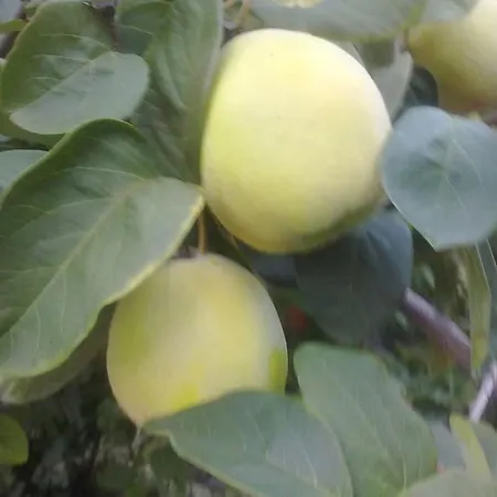 14 Posti Con Cucina E Parcheggio Privato Gratuito * Candela