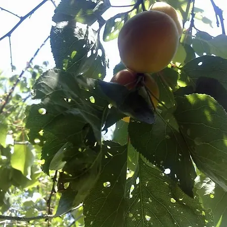 Апартаменты 14 Posti Con Cucina E Parcheggio Privato Gratuito *