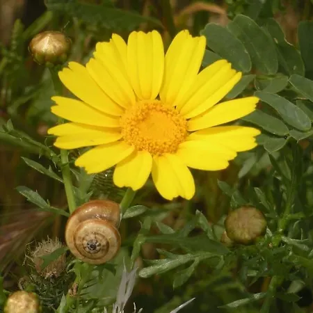 14 Posti Con Cucina E Parcheggio Privato Gratuito Апартаменты *