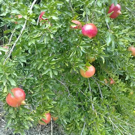 14 Posti Con Cucina E Parcheggio Privato Gratuito Апартаменты