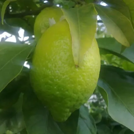 Апартаменты 14 Posti Con Cucina E Parcheggio Privato Gratuito Candela