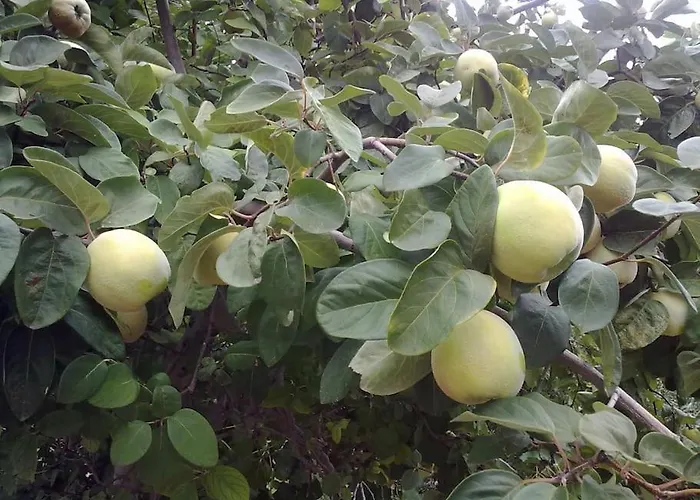 14 Posti Con Cucina E Parcheggio Privato Gratuito Apartment