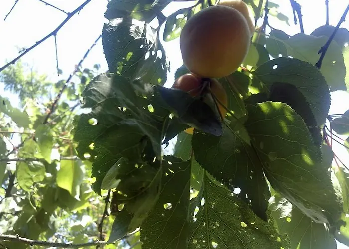 Apartment 14 Posti Con Cucina E Parcheggio Privato Gratuito *