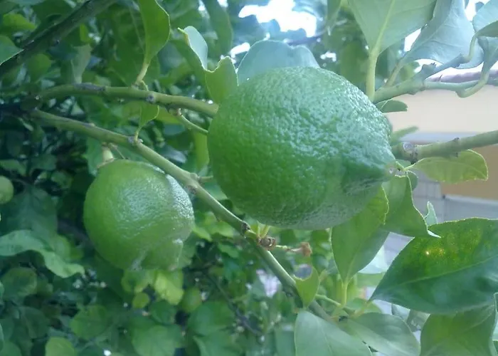 14 Posti Con Cucina E Parcheggio Privato Gratuito * Candela