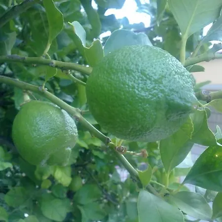 14 Posti Con Cucina E Parcheggio Privato Gratuito * Candela