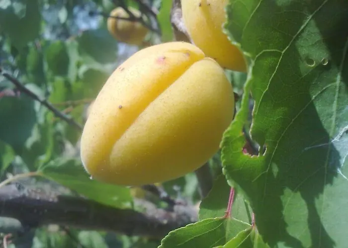 14 Posti Con Cucina E Parcheggio Privato Gratuito