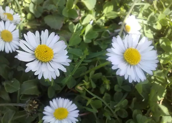 14 Posti Con Cucina E Parcheggio Privato Gratuito *