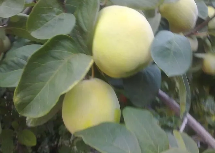 14 Posti Con Cucina E Parcheggio Privato Gratuito * 坎德拉