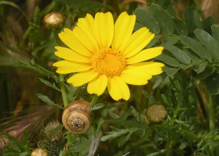 14 Posti Con Cucina E Parcheggio Privato Gratuito Apartament *