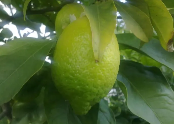 公寓 14 Posti Con Cucina E Parcheggio Privato Gratuito 坎德拉